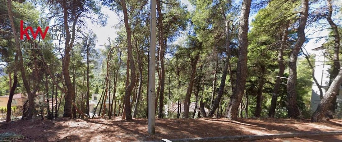 Land in Dionysos, Attica, Greece 2 - 18336568