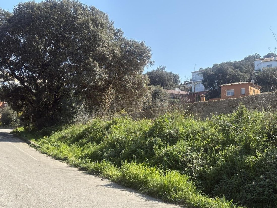 Land in Begur, Catalonia, Spain 5 - 18335144