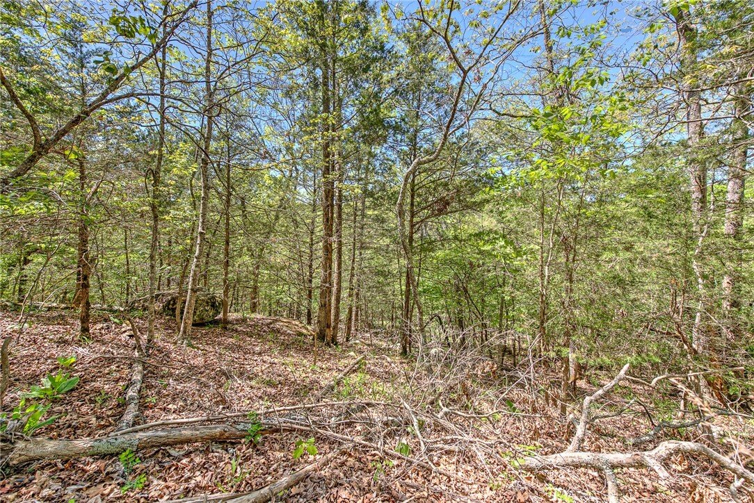 Land in Eureka Springs, Arkansas, United States 5 - 18336474
