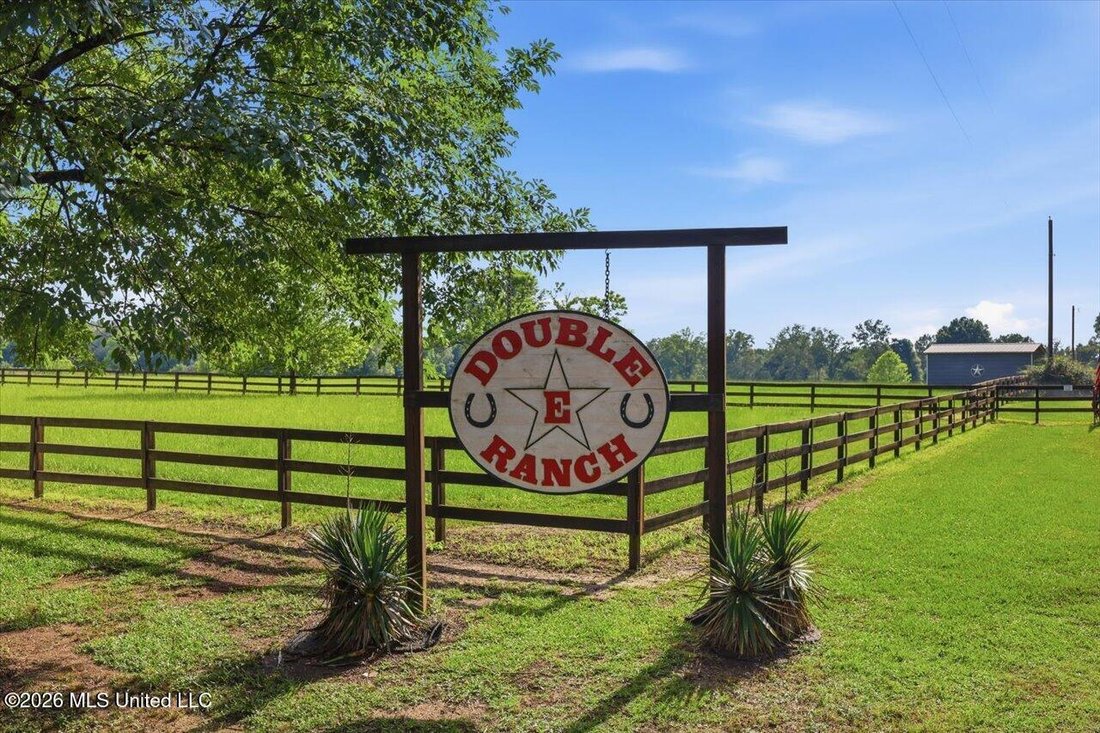 House in Pelahatchie, Mississippi, United States 2 - 18339596