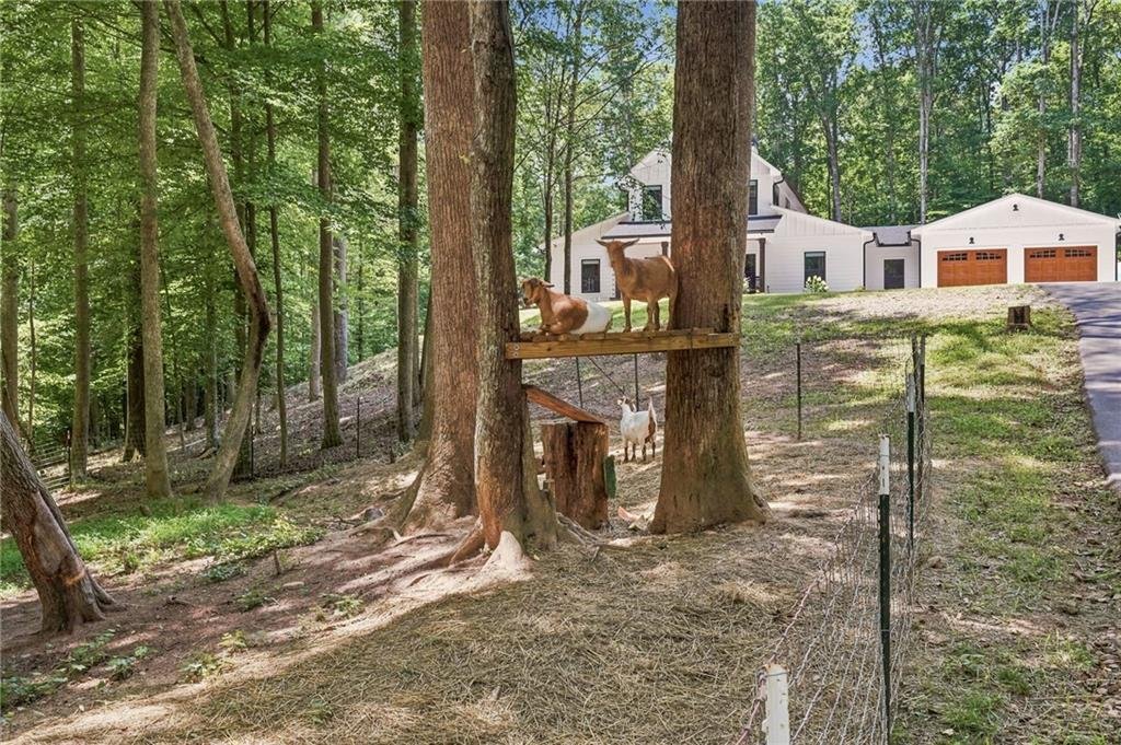 House in Jasper, Georgia, United States 5 - 18340296