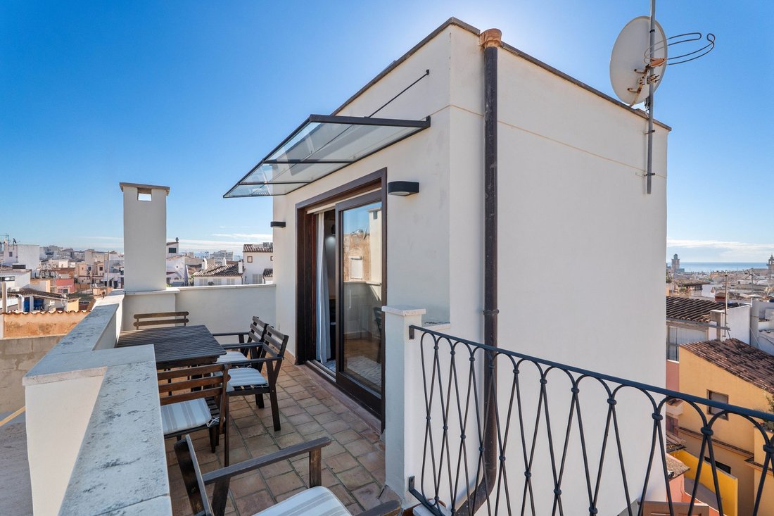 Apartment in Palma, Balearic Islands, Spain 5 - 18335102