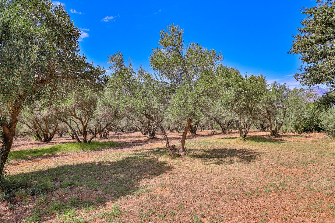 Farm Ranch in Brackenfell South, Cape Town, South Africa 5 - 17908215