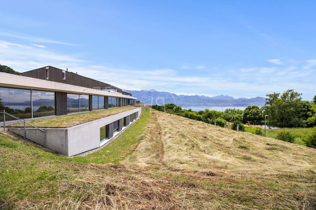 Wohnung in Bourg-en-Lavaux, Waadt, Schweiz 1 - 18340340
