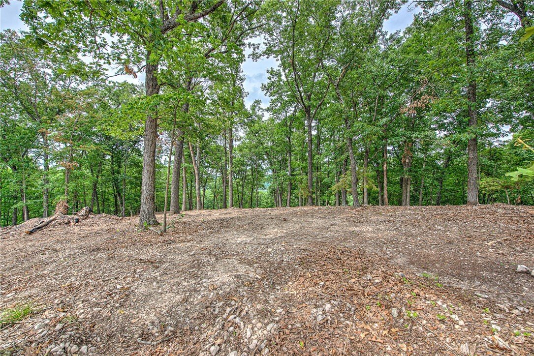 Land in Eureka Springs, Arkansas, United States 4 - 18336474