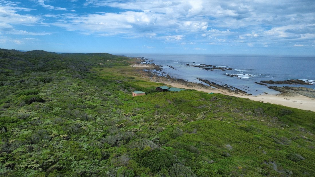 Farm Ranch in Oyster Bay, Eastern Cape, South Africa 3 - 18337751