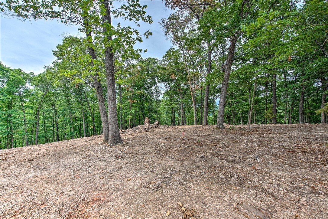 Land in Eureka Springs, Arkansas, United States 3 - 18336474