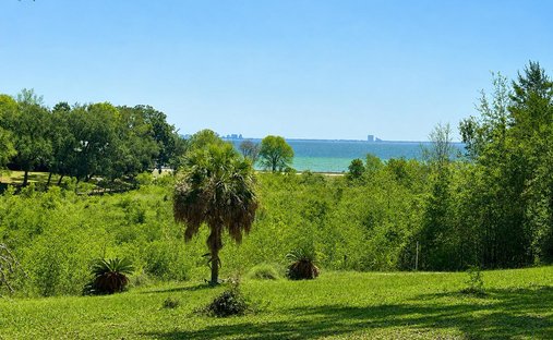 House in Niceville, Florida, United States 1