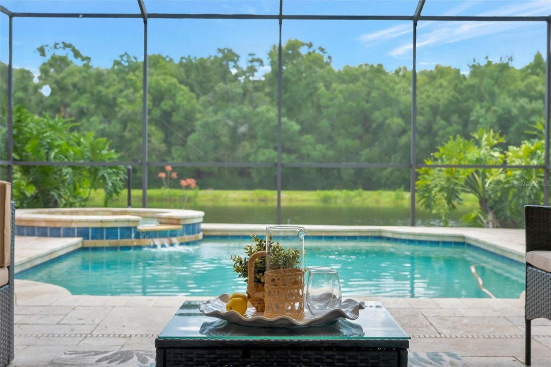 House in Tampa, Florida, United States 4 - 18339793
