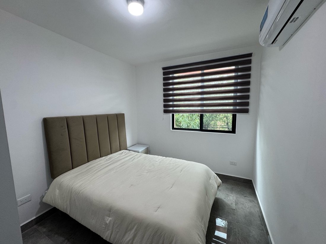 Apartment in Monterrey, Nuevo Leon, Mexico 4 - 18337029