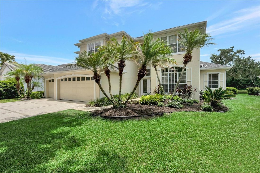 House in Tampa, Florida, United States 1 - 18339793