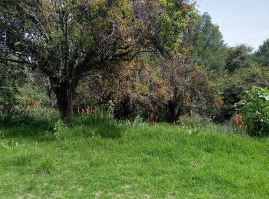 Land in Santa Catarina Yecahuitzotl, Mexico City, Mexico 3 - 18337030