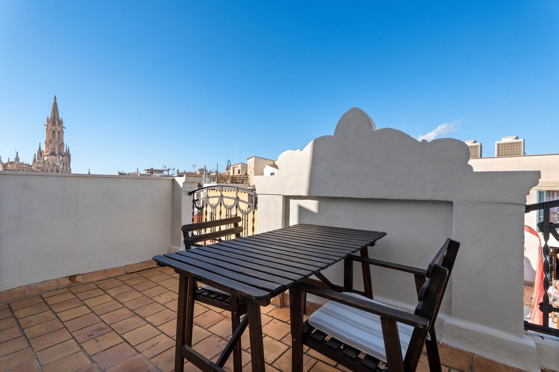 Apartment in Palma, Balearic Islands, Spain 4 - 18335102