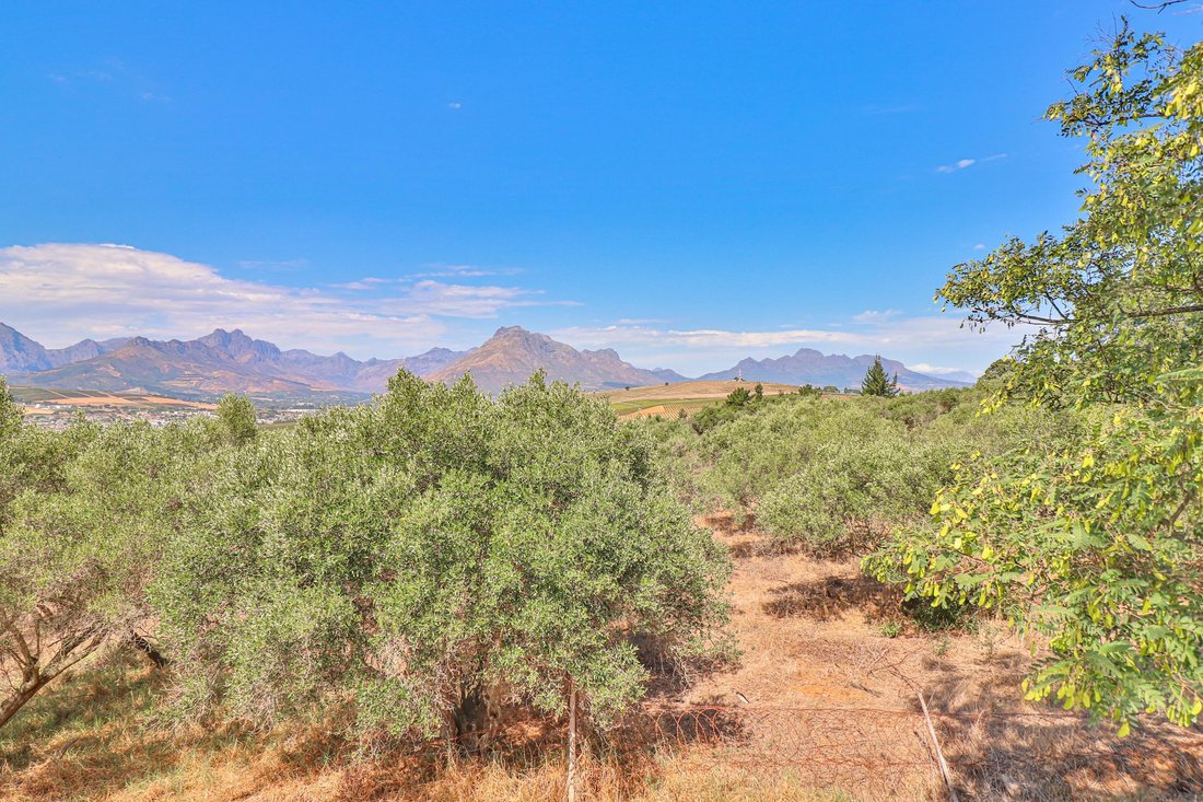 Farm Ranch in Brackenfell South, Cape Town, South Africa 4 - 17908215