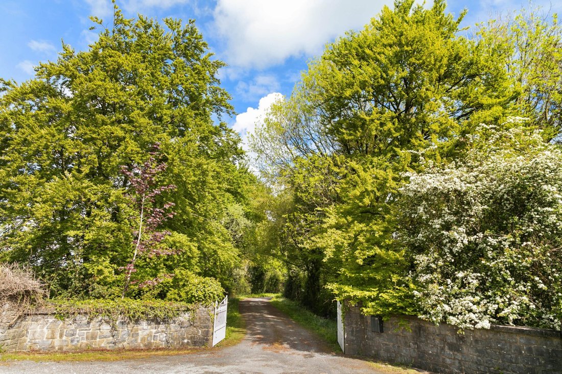 Country House in Mullinahone, County Tipperary, Ireland 5 - 18335057