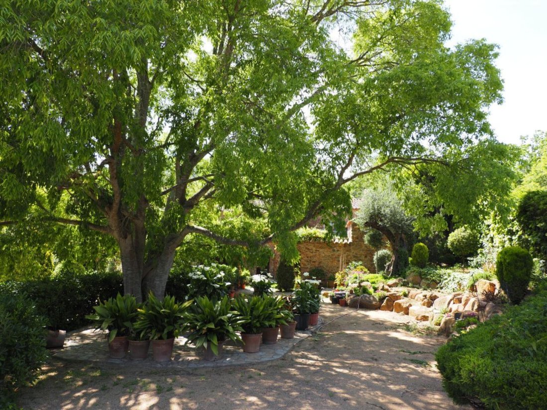 Finca in Mont-ras, Catalonia, Spain 5 - 18335232