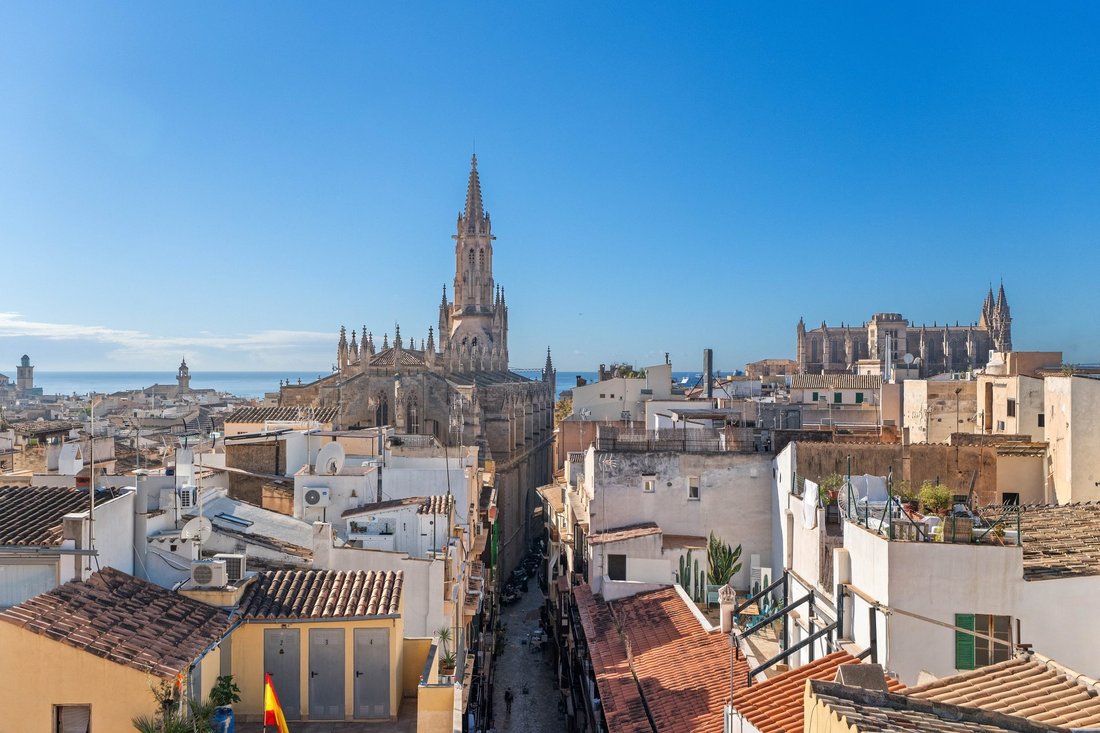 Apartment in Palma, Balearic Islands, Spain 1 - 18335102