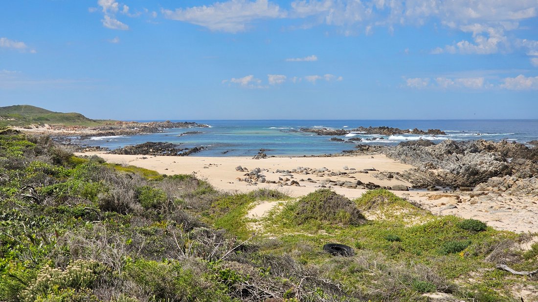 Farm Ranch in Oyster Bay, Eastern Cape, South Africa 4 - 18337751
