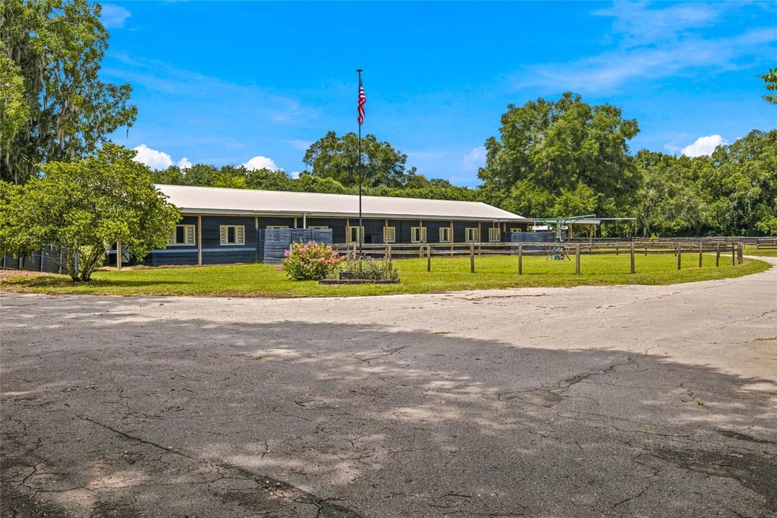 Farm Ranch in Reddick, Florida, United States 4 - 18340848