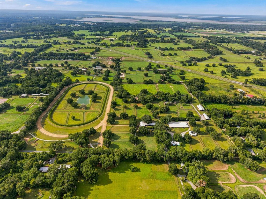 Farm Ranch in Reddick, Florida, United States 1 - 18340848