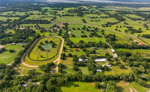 Azienda agricola a Reddick, Florida, Stati Uniti 1