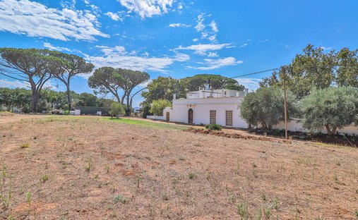 Azienda agricola a Stellenbosch Farms, Capo Occidentale, Sudafrica 1