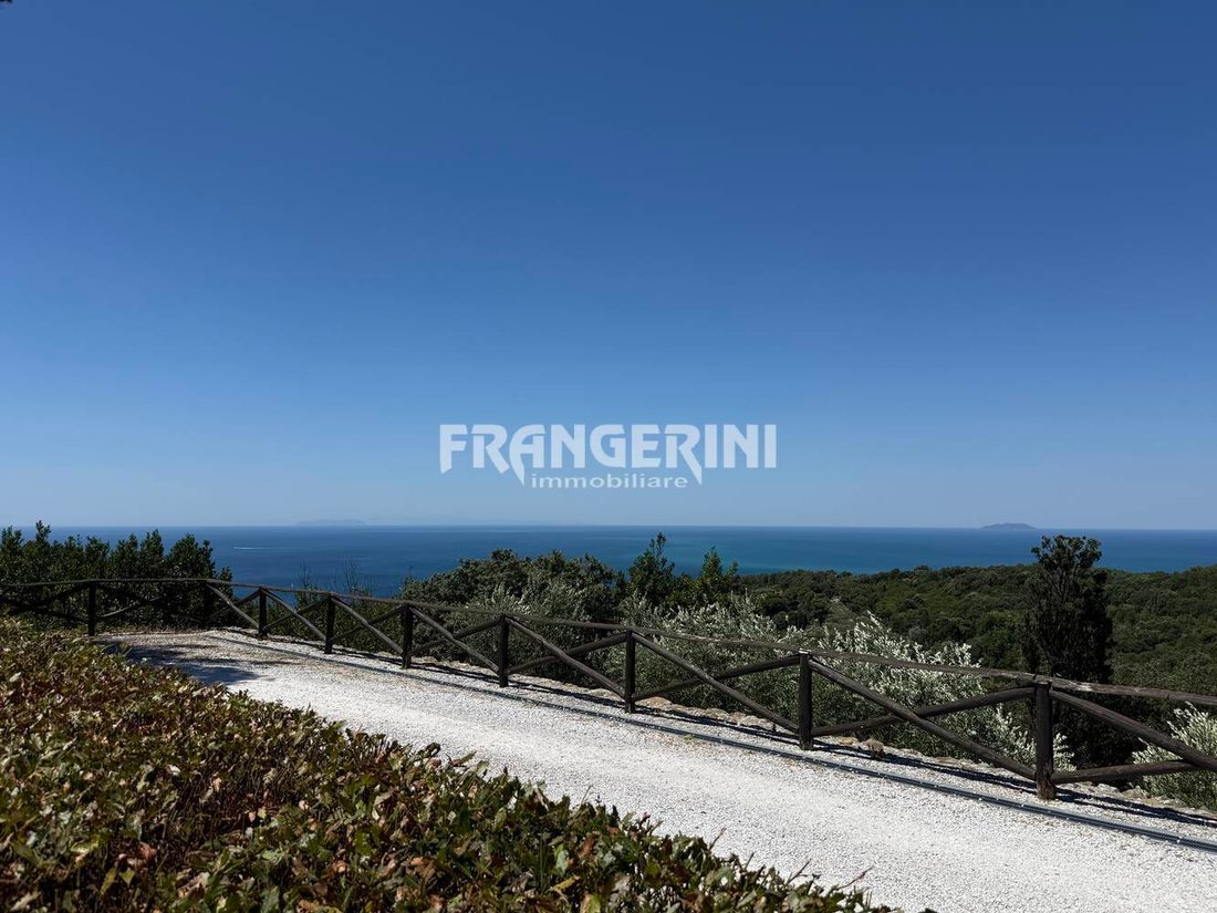 Villa in Magenta - Marconi, Livorno, Tuscany 4 - 18339688