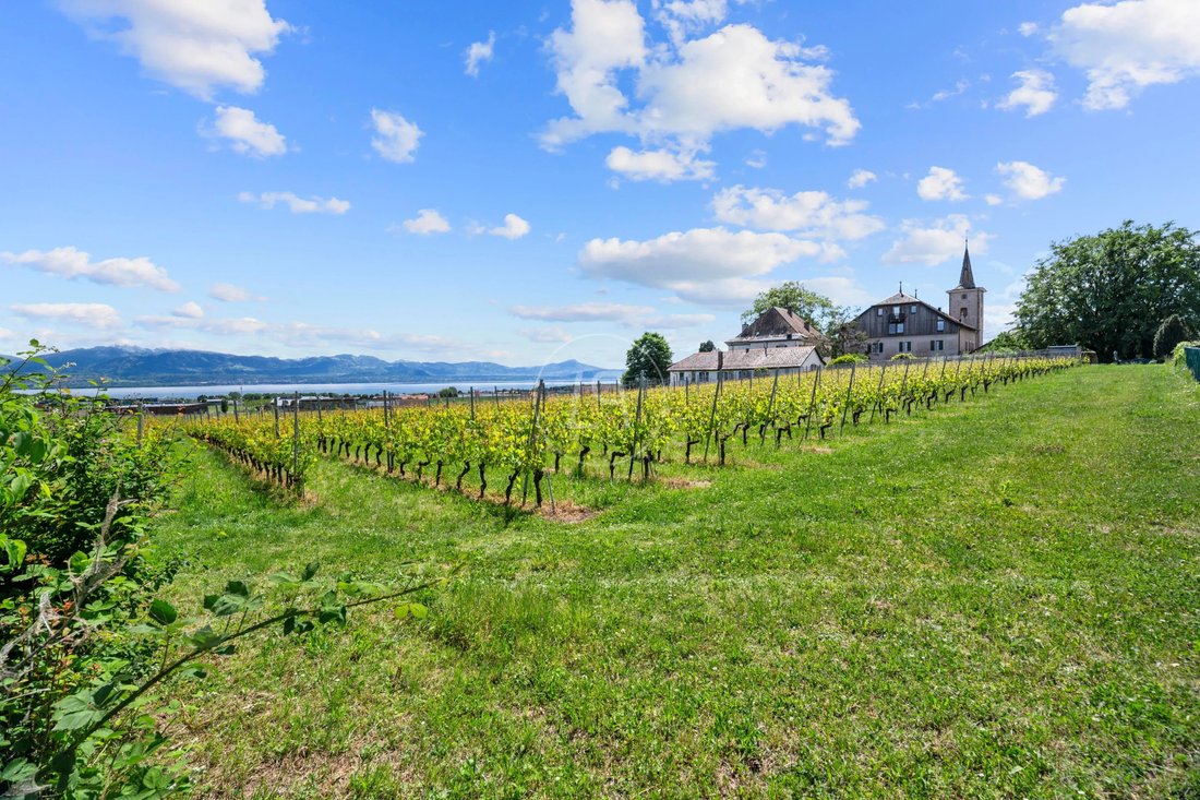 Apartment in Etoy, Vaud, Switzerland 3 - 18339774