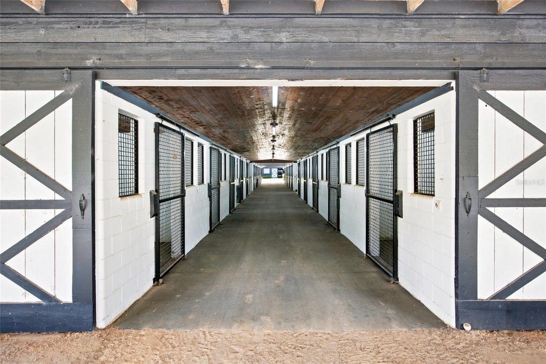 Farm Ranch in Reddick, Florida, United States 5 - 18340848