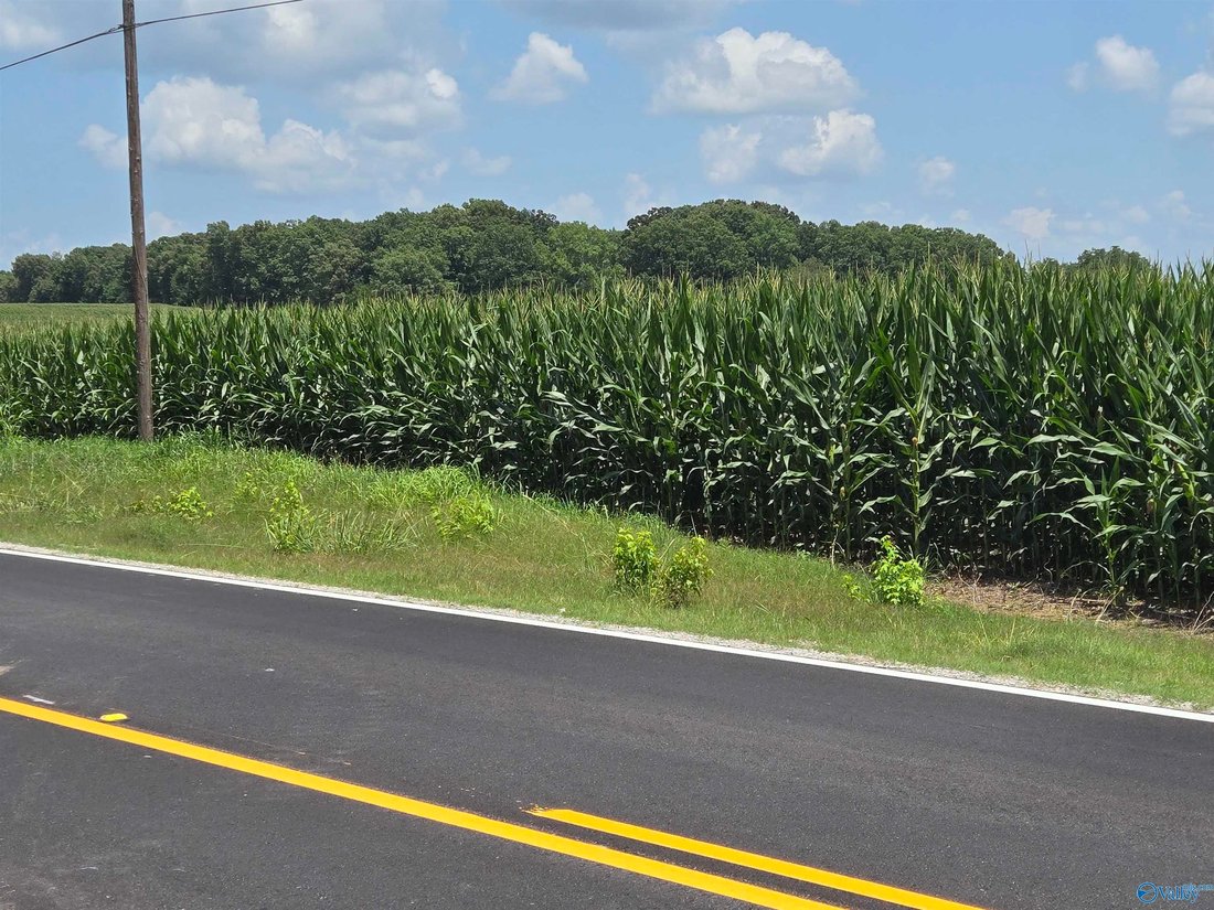 Farm Ranch in Anderson, Alabama, United States 3 - 18339621