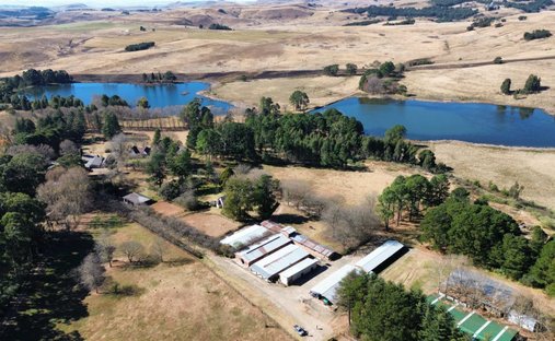 Farm Ranch in Nottingham Road, KwaZulu-Natal, South Africa 1
