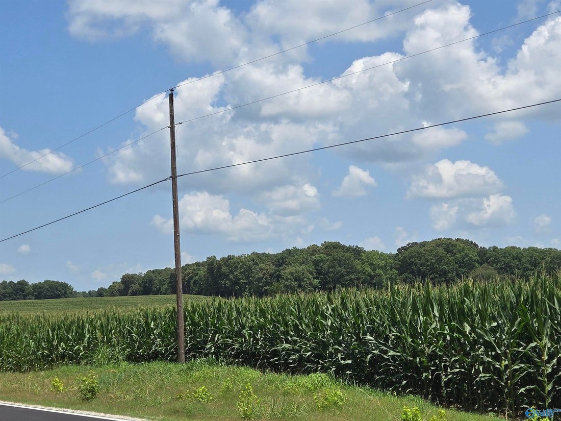 Farm Ranch in Anderson, Alabama, United States 2 - 18339621