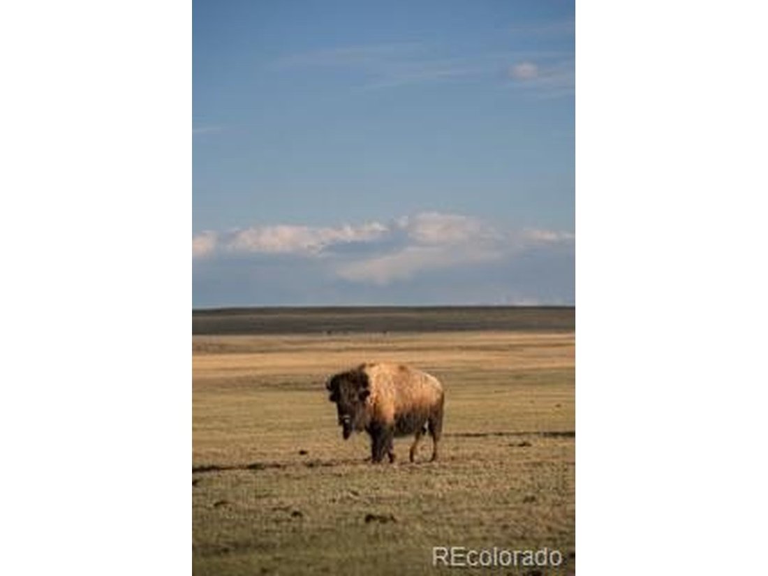 Fairplay, Colorado, United States 2 - 18340031