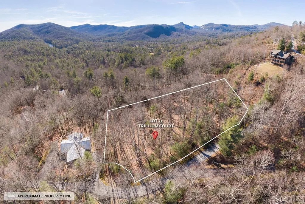 House in Cashiers, North Carolina, United States 5 - 18336410