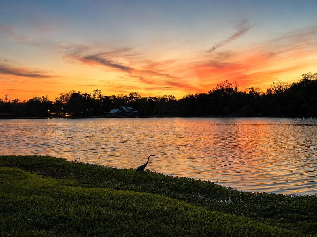 House in Tampa, Florida, United States 3 - 18342617