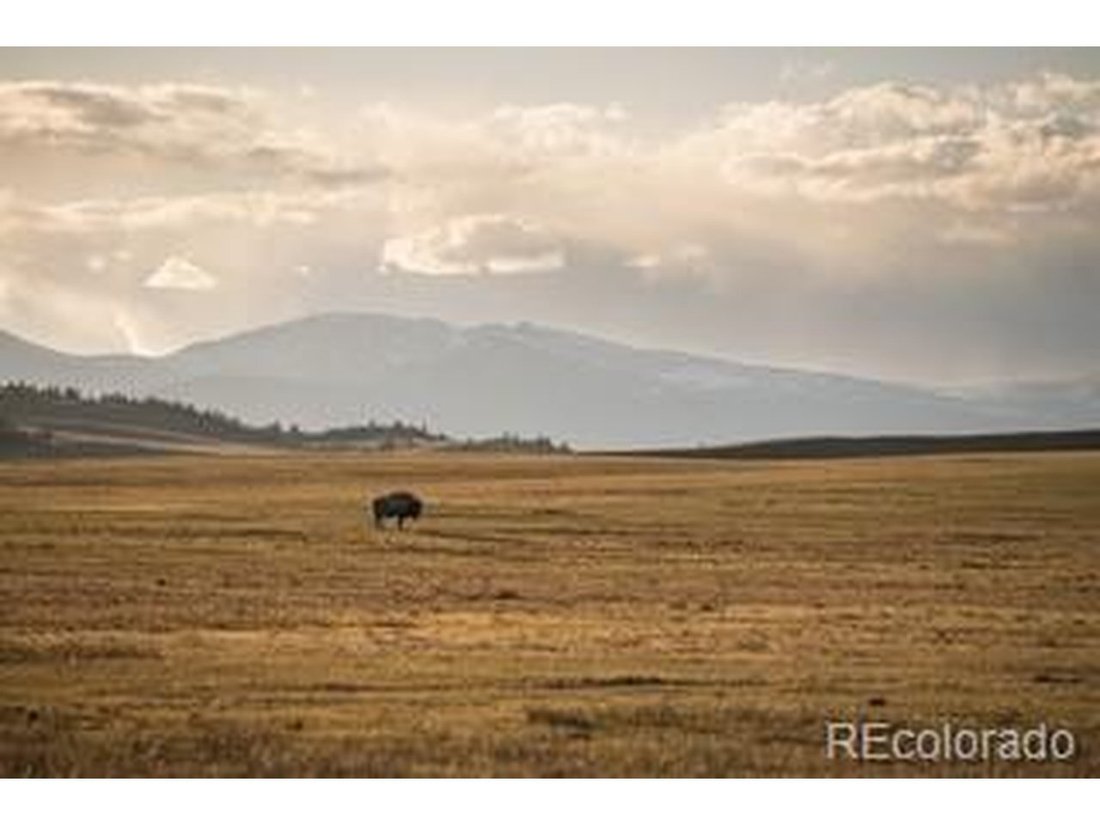 Fairplay, Colorado, United States 5 - 18340031