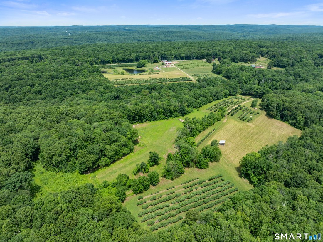 Land in Ashford, Connecticut, United States 3 - 18342067