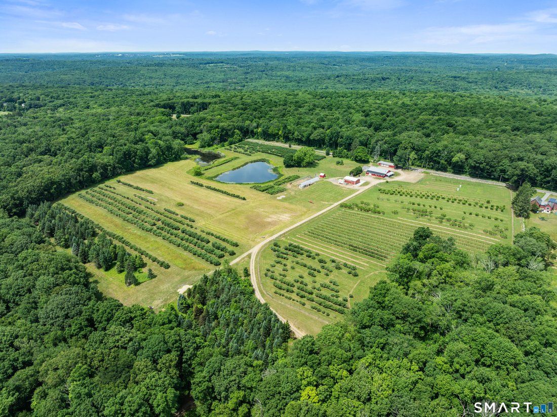 Land in Ashford, Connecticut, United States 4 - 18342067