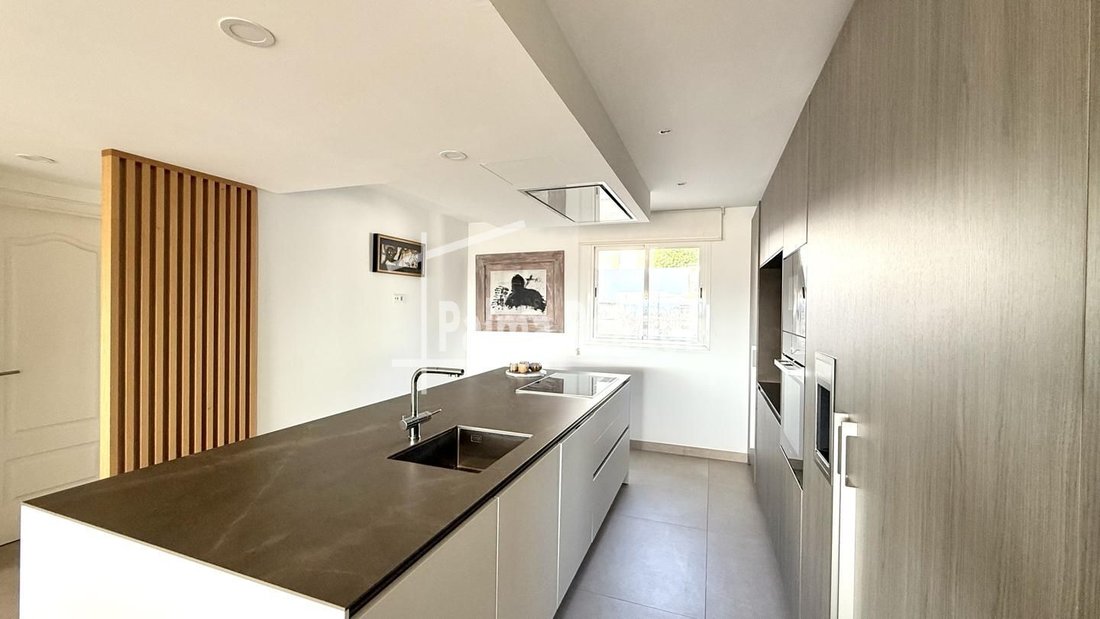 Apartment in Palma, Balearic Islands, Spain 3 - 16225398