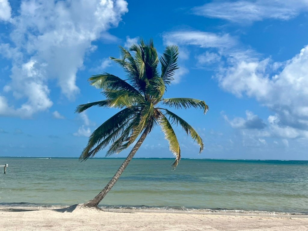 Villa in San Pedro, Belize District, Belize 2 - 18336375