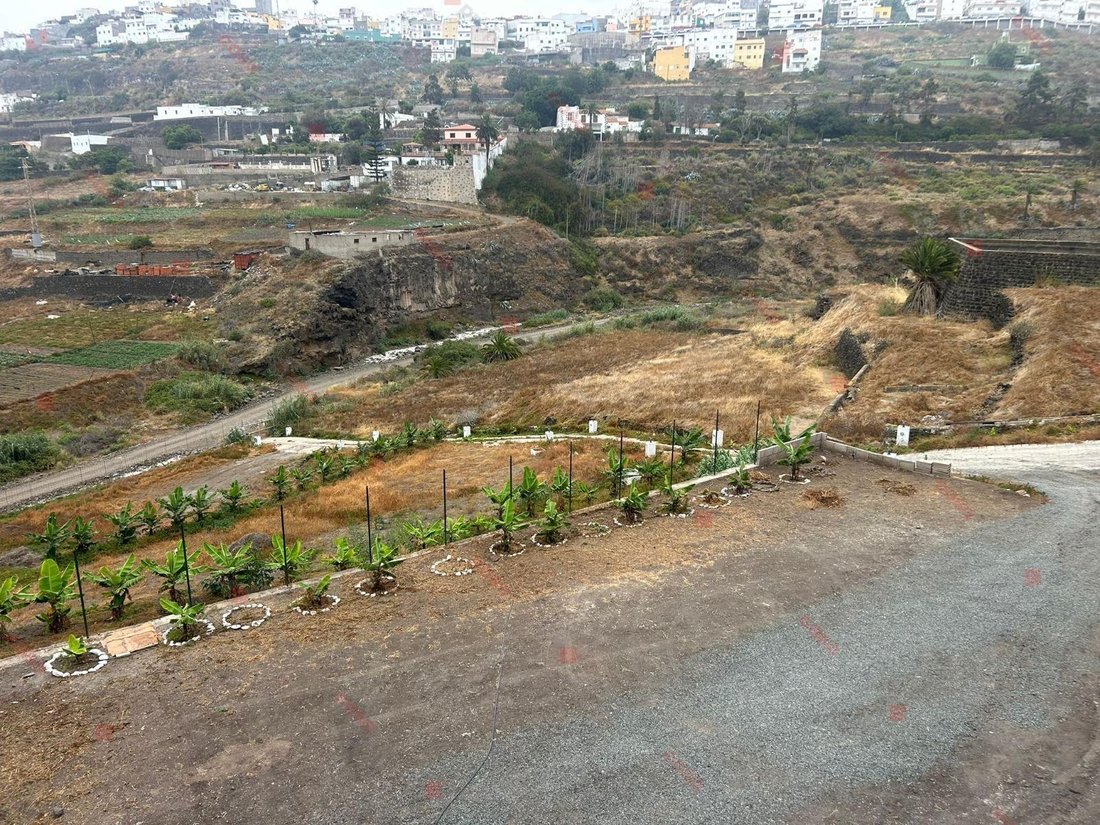 Country House in Arucas, Canary Islands, Spain 5 - 18342650