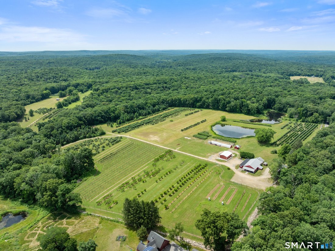 Land in Ashford, Connecticut, United States 1 - 18342067