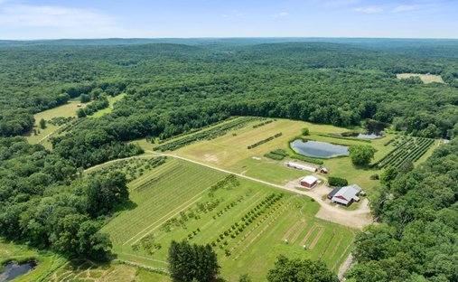 Land in Ashford, Connecticut, United States 1