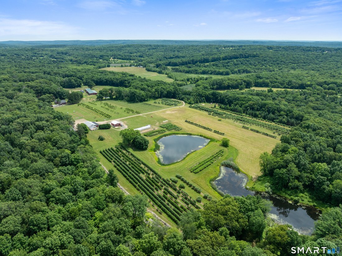Land in Ashford, Connecticut, United States 2 - 18342067