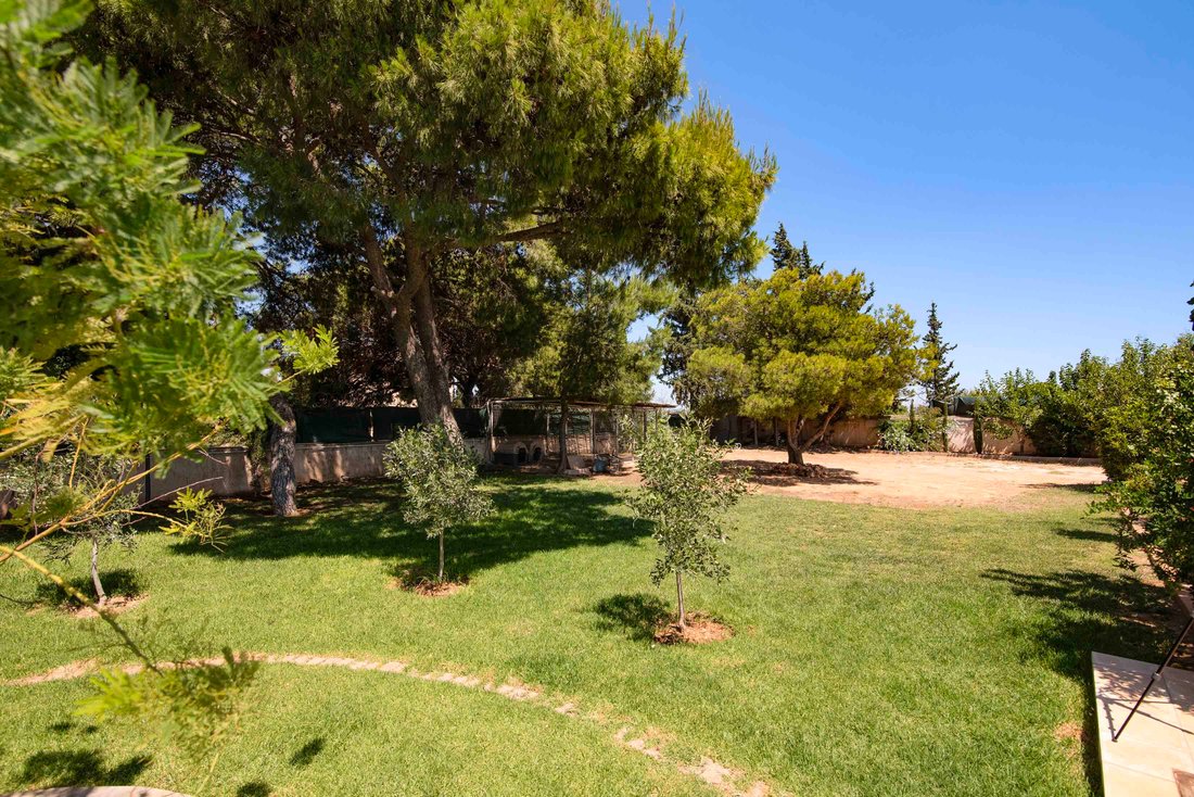 Villa in Markopoulo Mesogaias, Attica, Greece 4 - 18340992