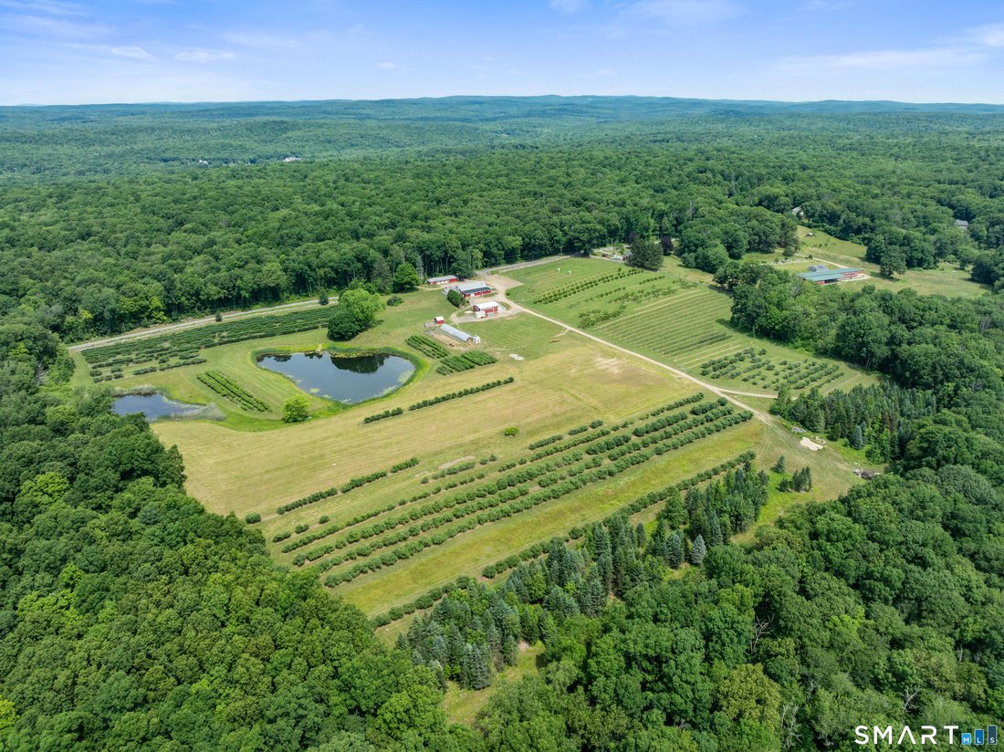 Land in Ashford, Connecticut, United States 5 - 18342067