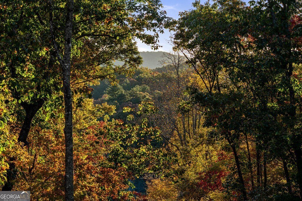 House in Morganton, Georgia, United States 3 - 18335238