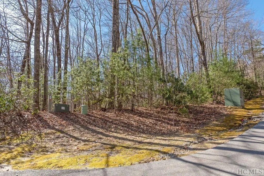 House in Cashiers, North Carolina, United States 4 - 18336410
