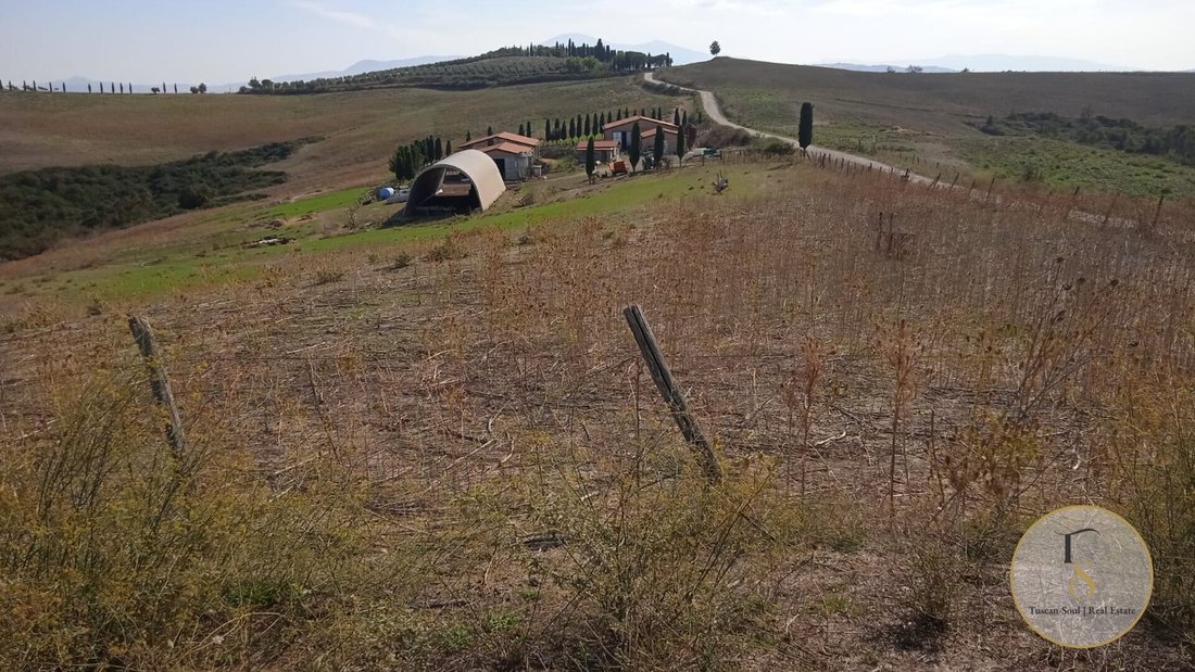 Farm Ranch in Siena, Tuscany, Italy 2 - 18341383