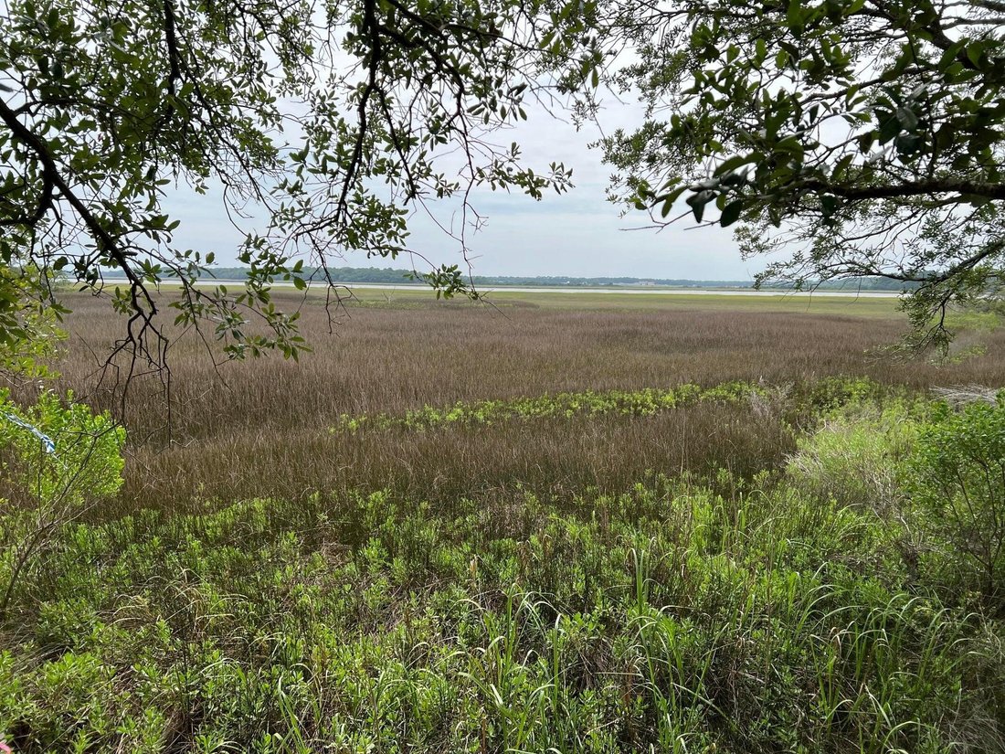 Land in Charleston, South Carolina, United States 2 - 18341905
